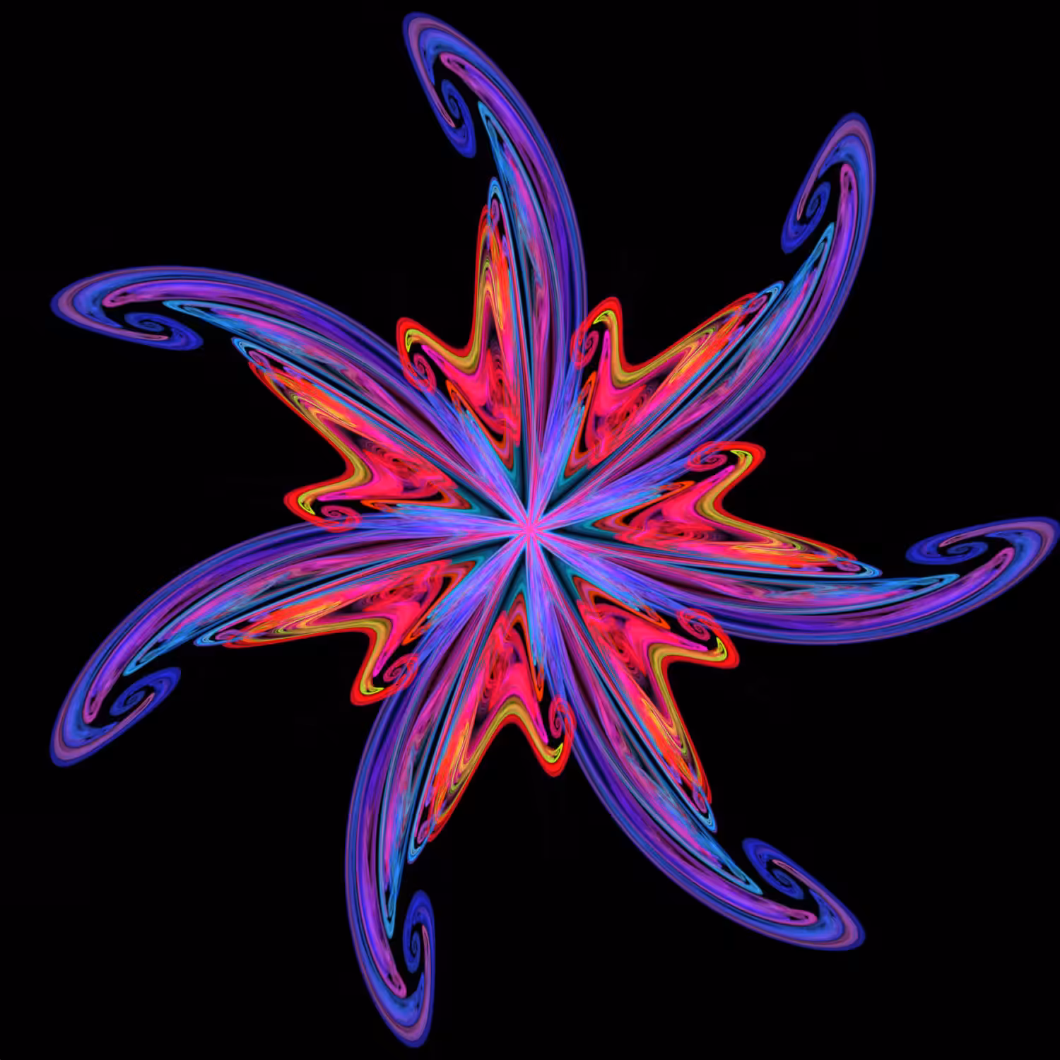 Eternal Flower - Nimis