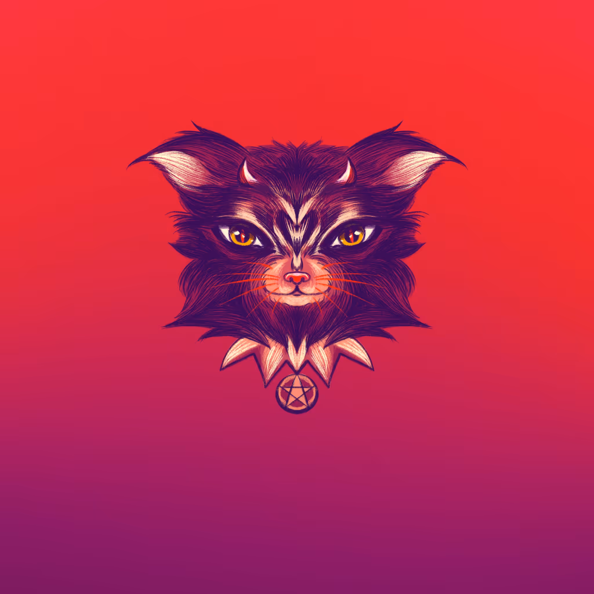Cat 011