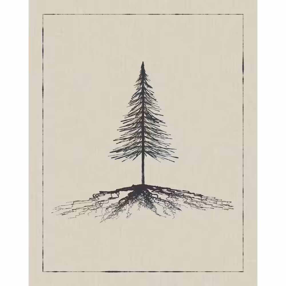 Roots #42