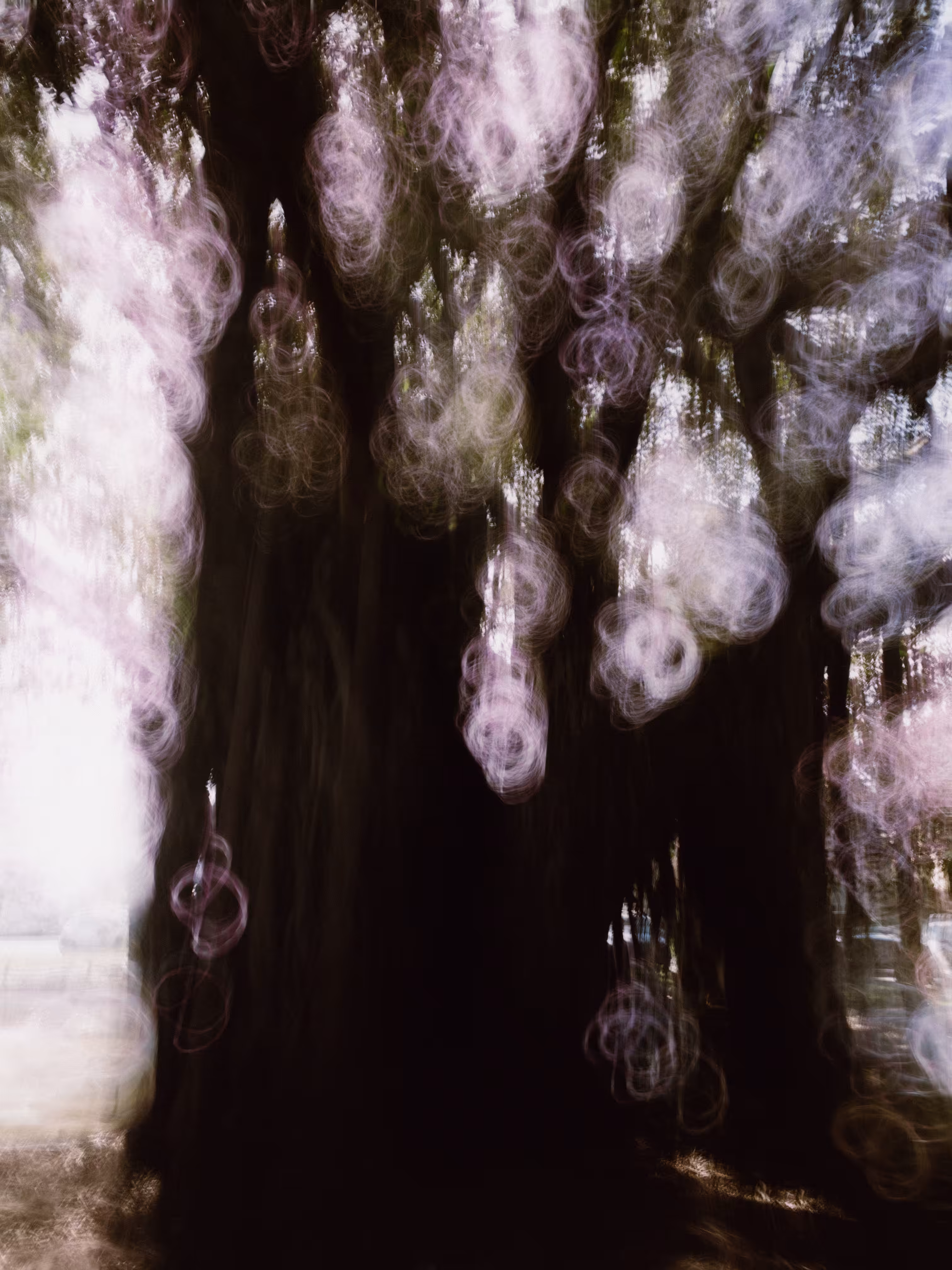 Strange Tree