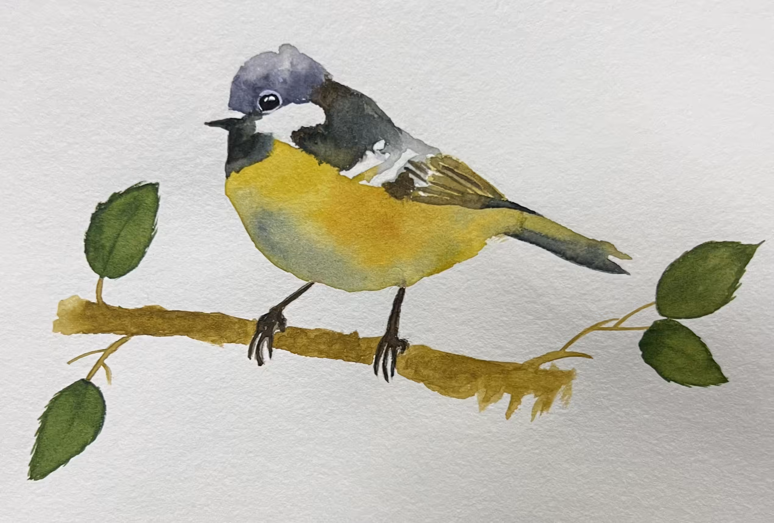 colorful sparrow