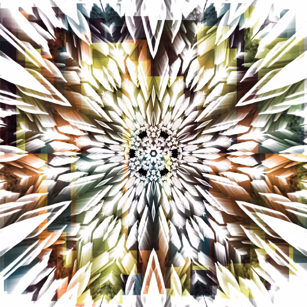 Mirrorgradients #99