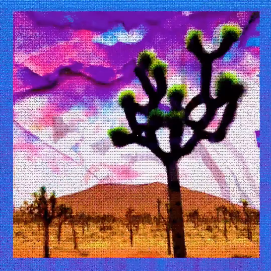 Arid Articulations #9
