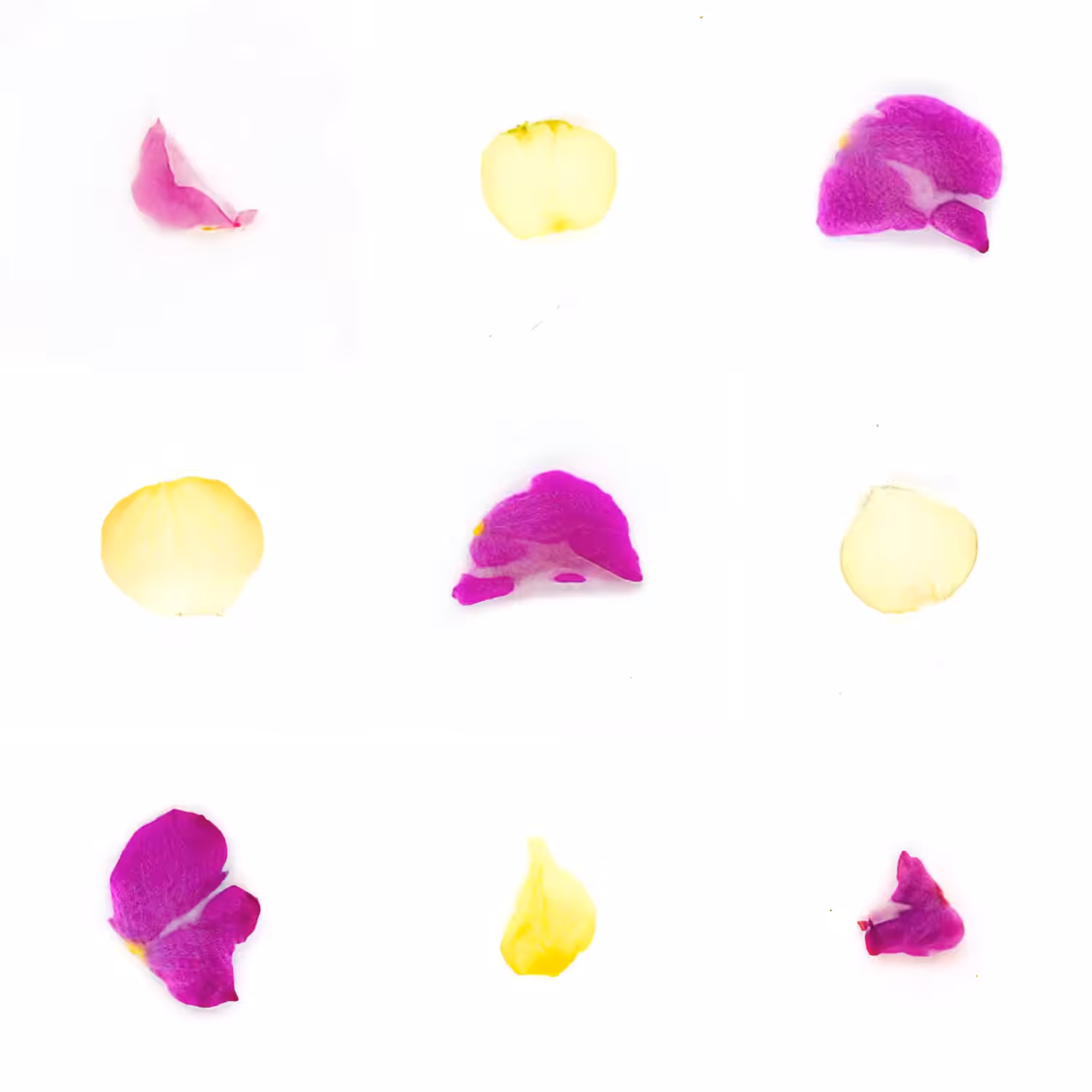 Infinite Petals 3x3#626