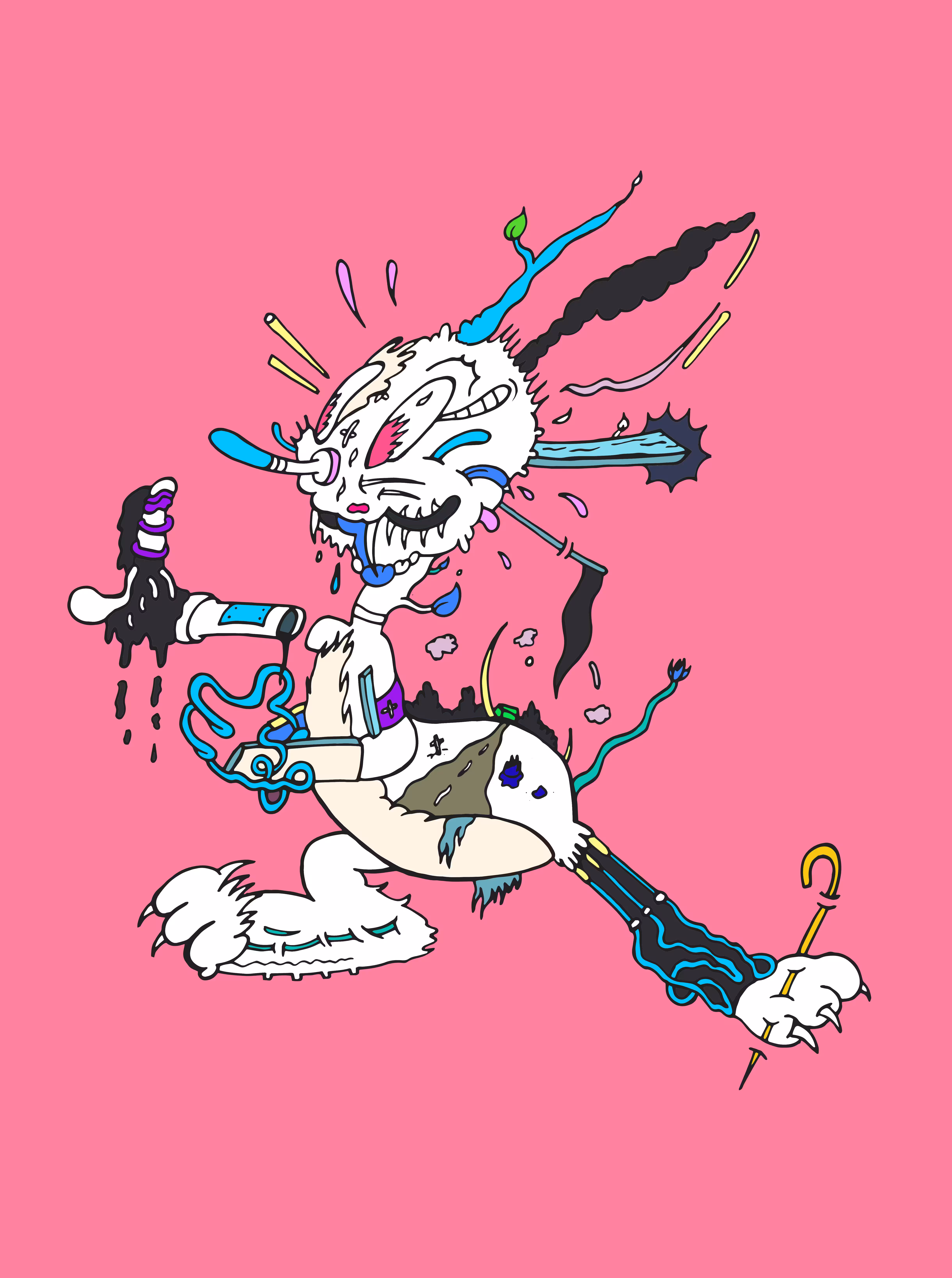 White Rabbot