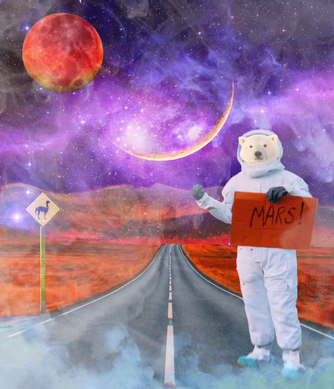 Part 1. A story of cosmic love