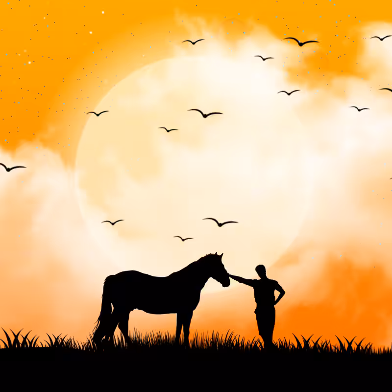We Care...NOBLE HORSE #8