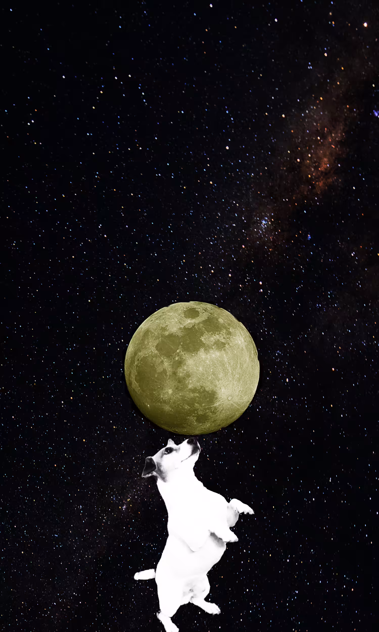 Balance