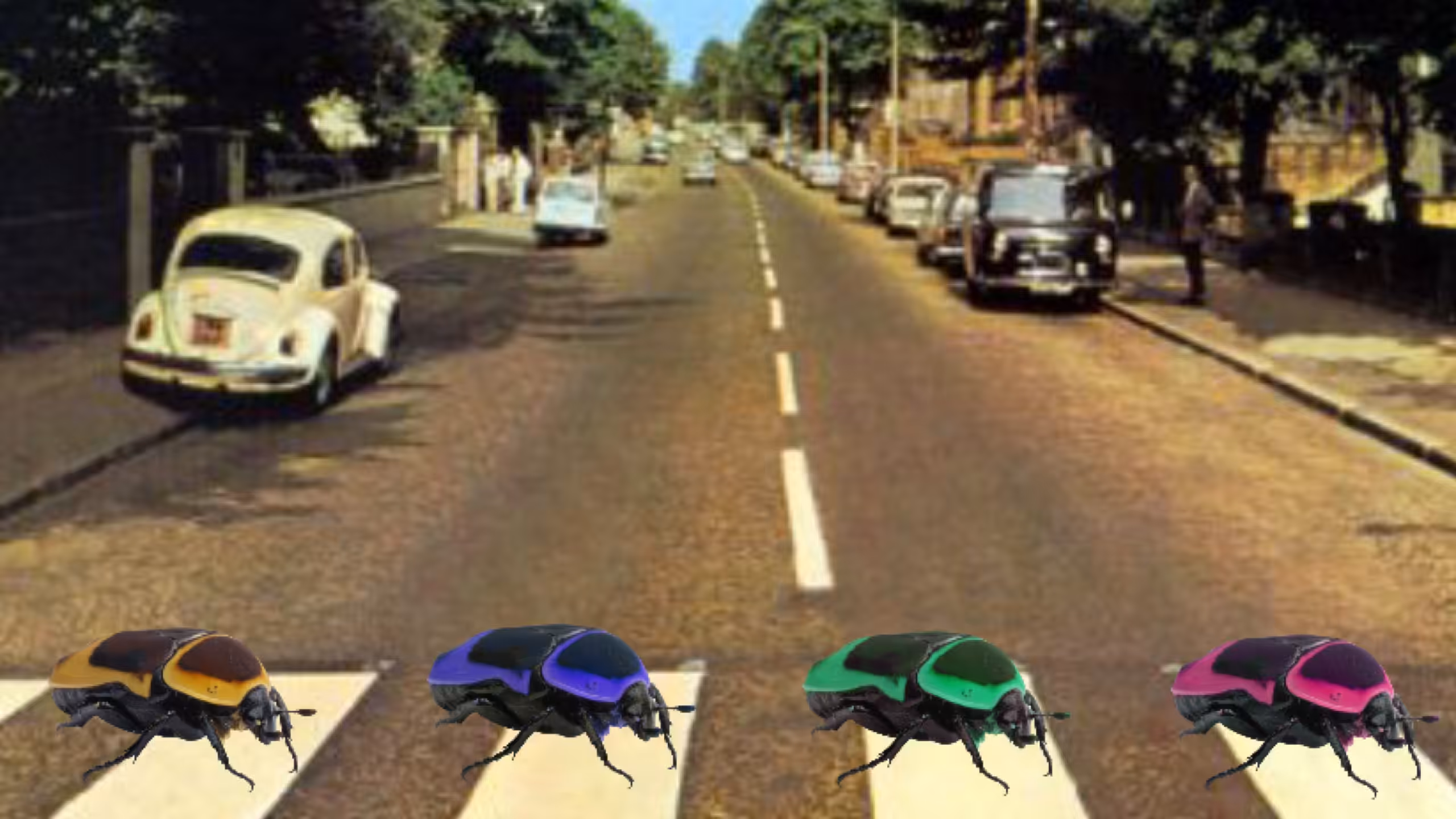 The Beatles