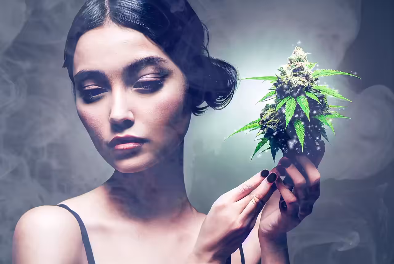 Show me your Bud