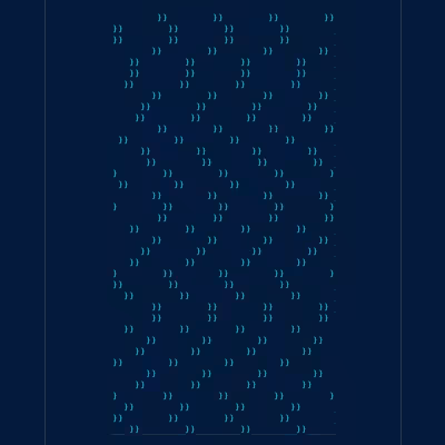 remote-shell #17