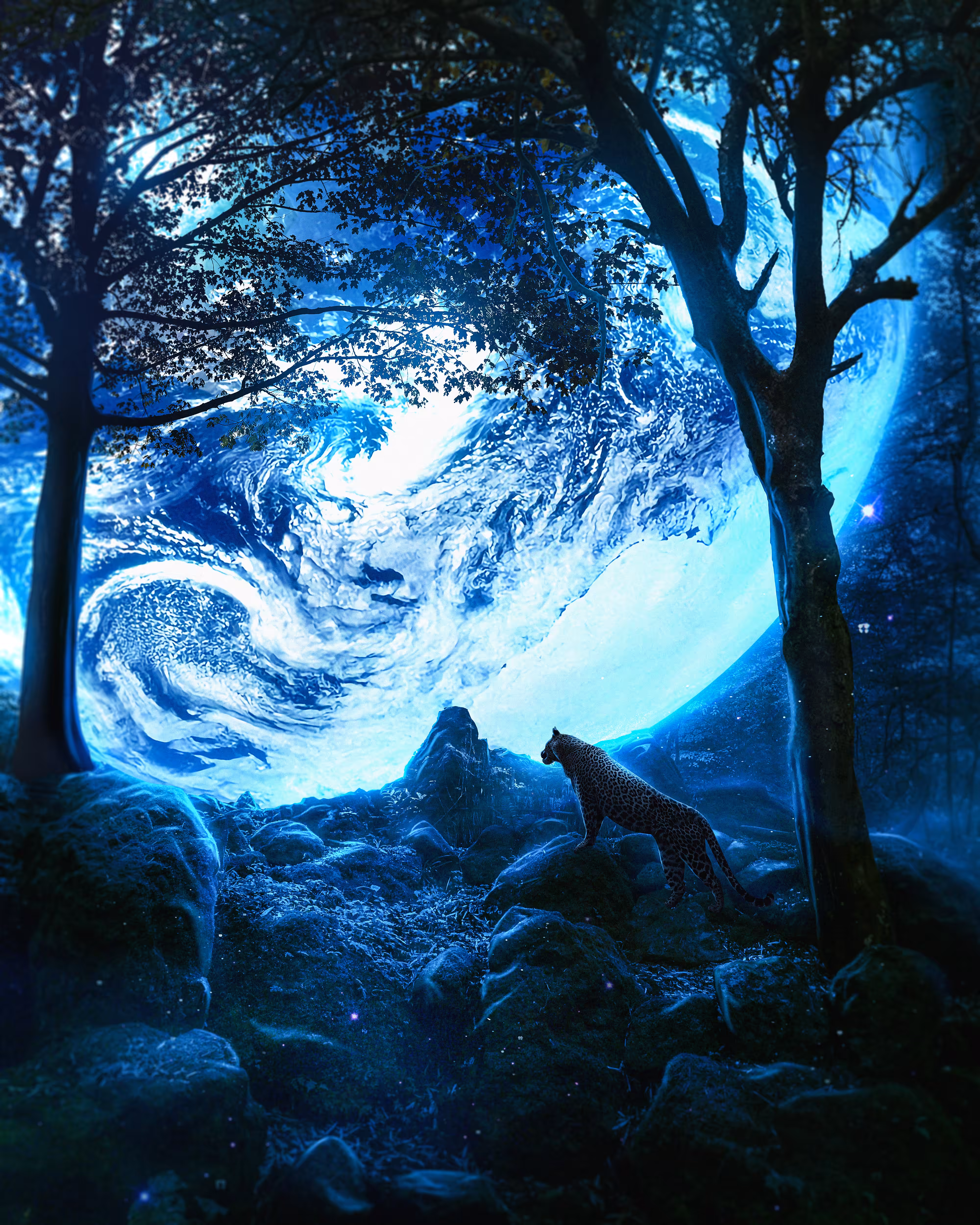 Multiverse Earth