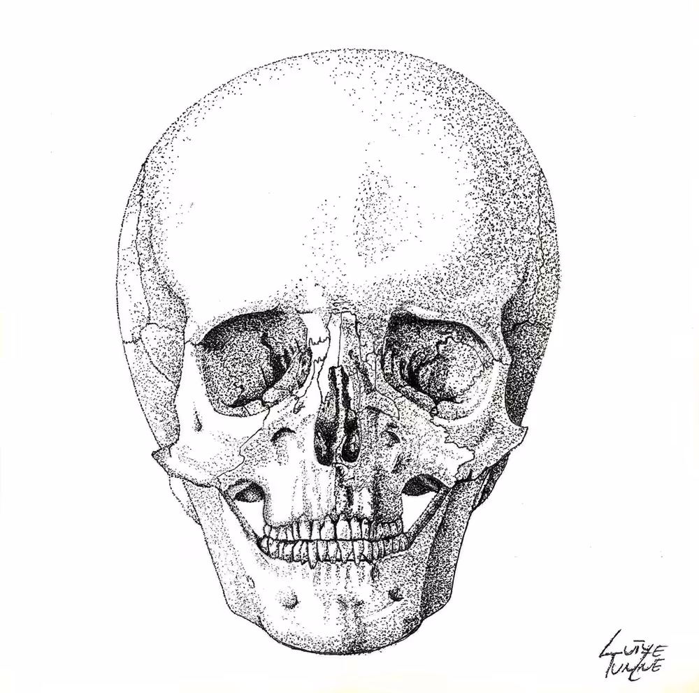 Skull #1
