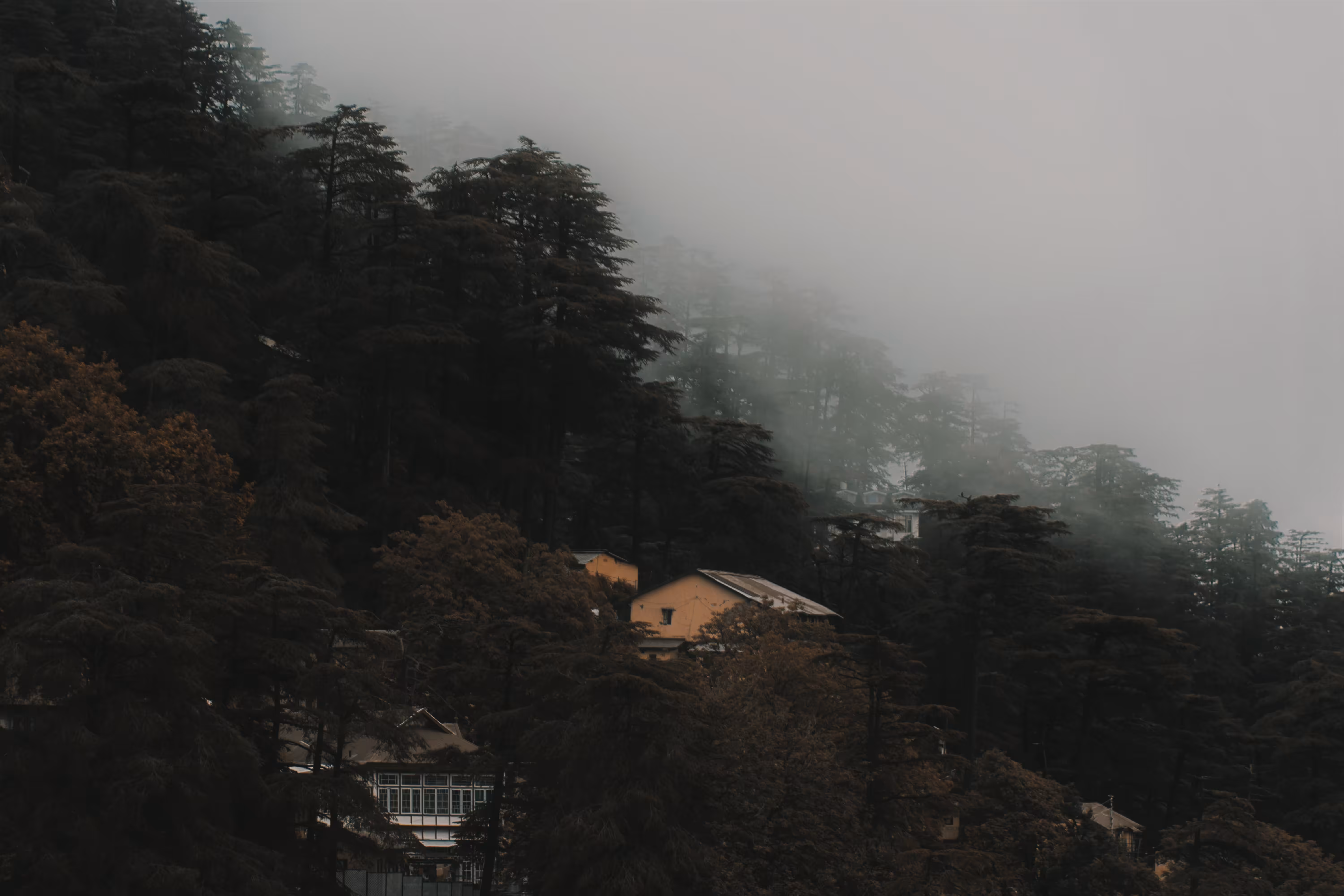 Silent trees