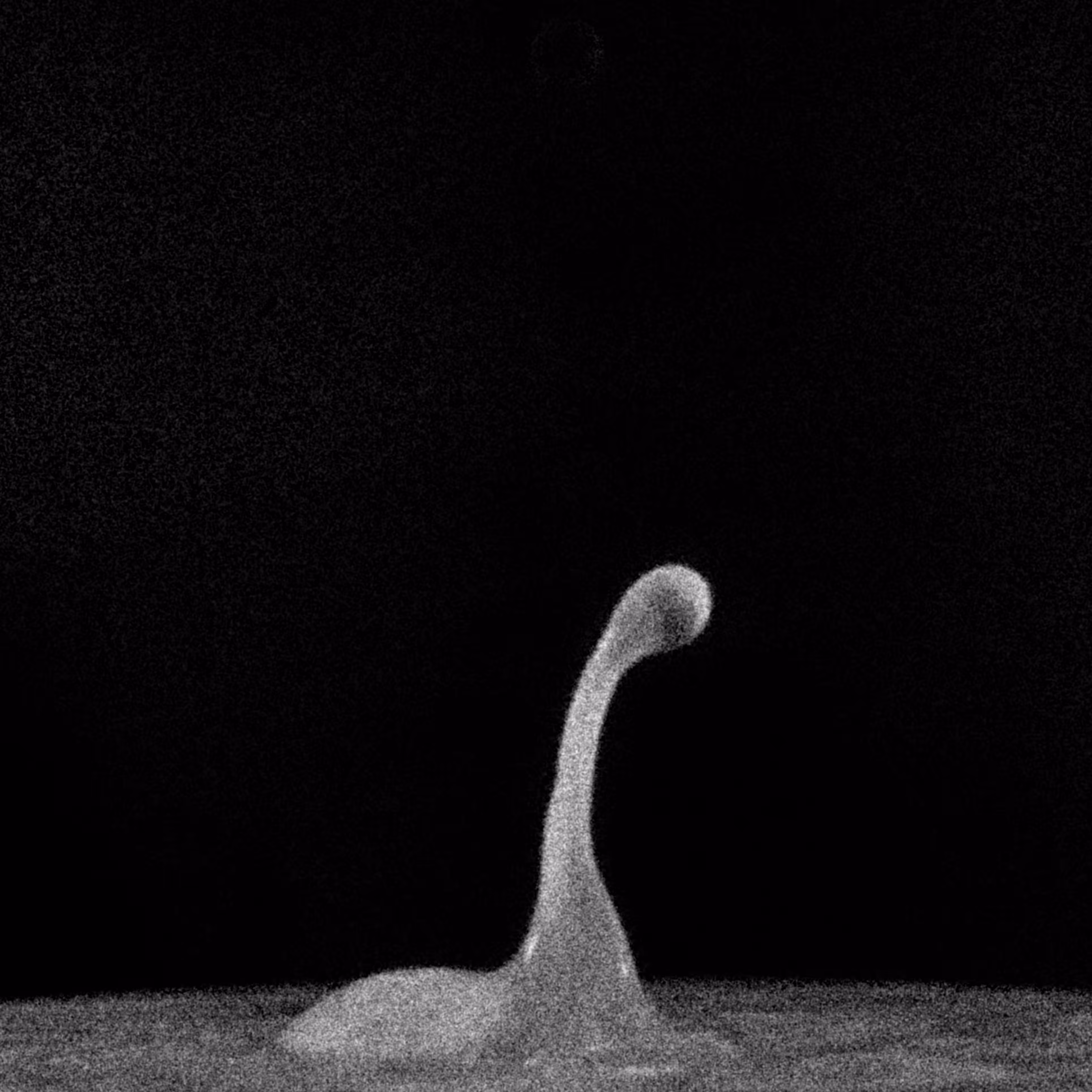 Splash of Nessie