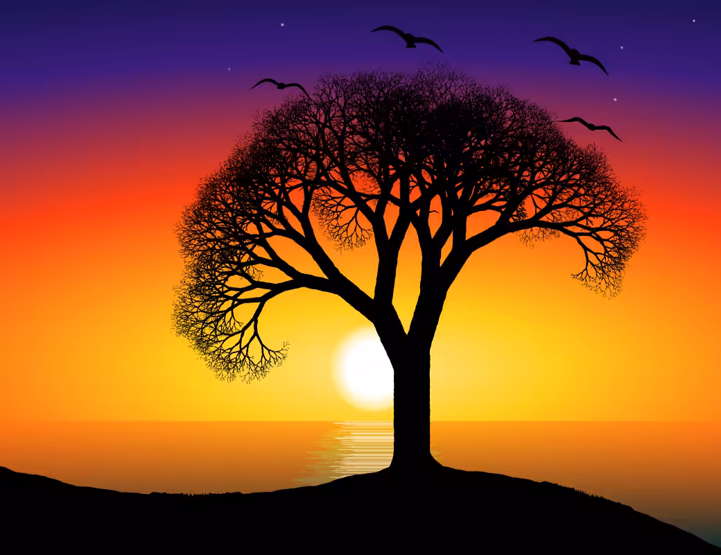 This Tree #13