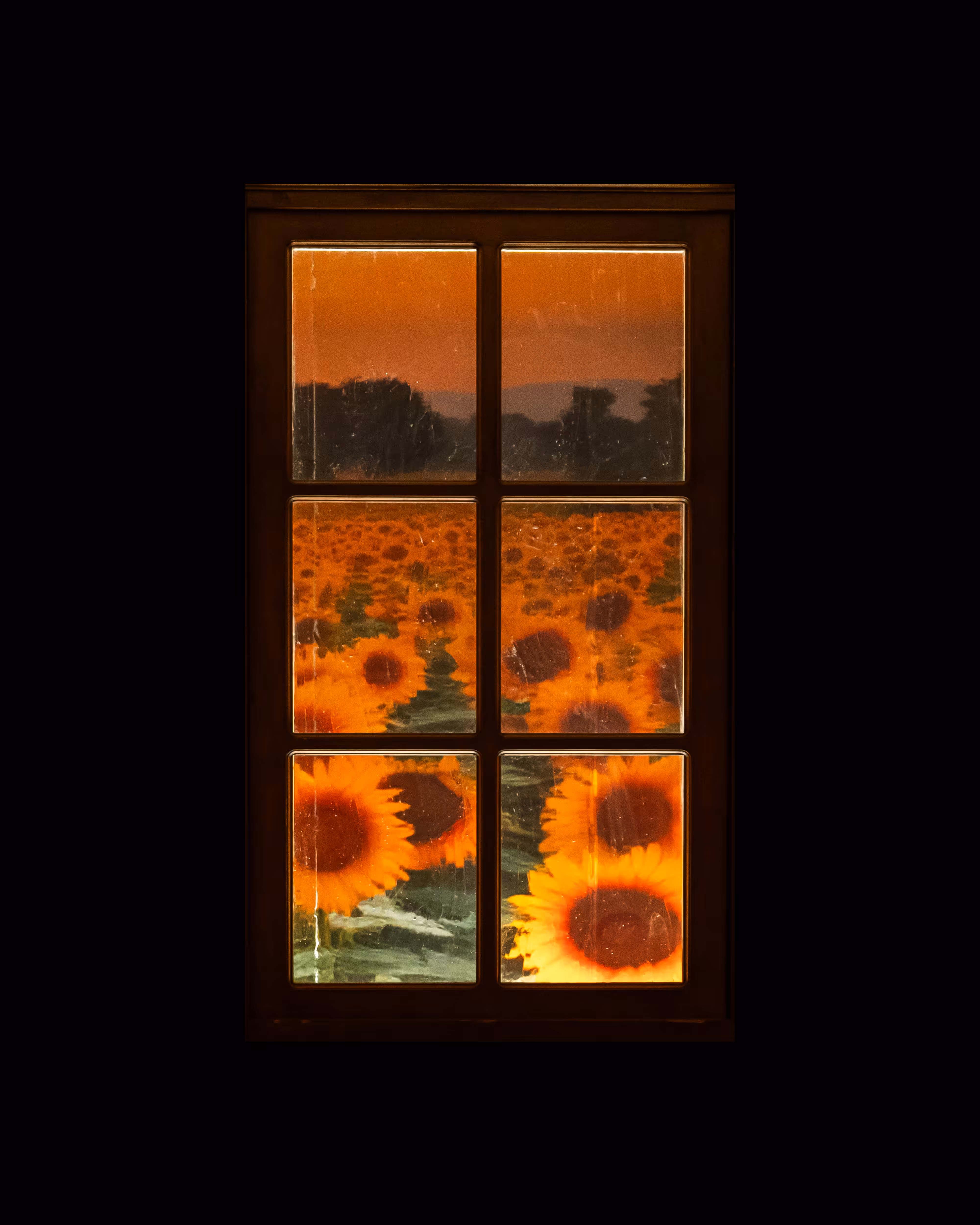 WINDOW 401