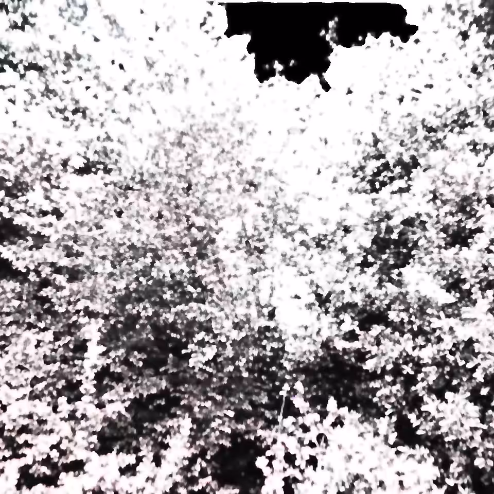 displacement