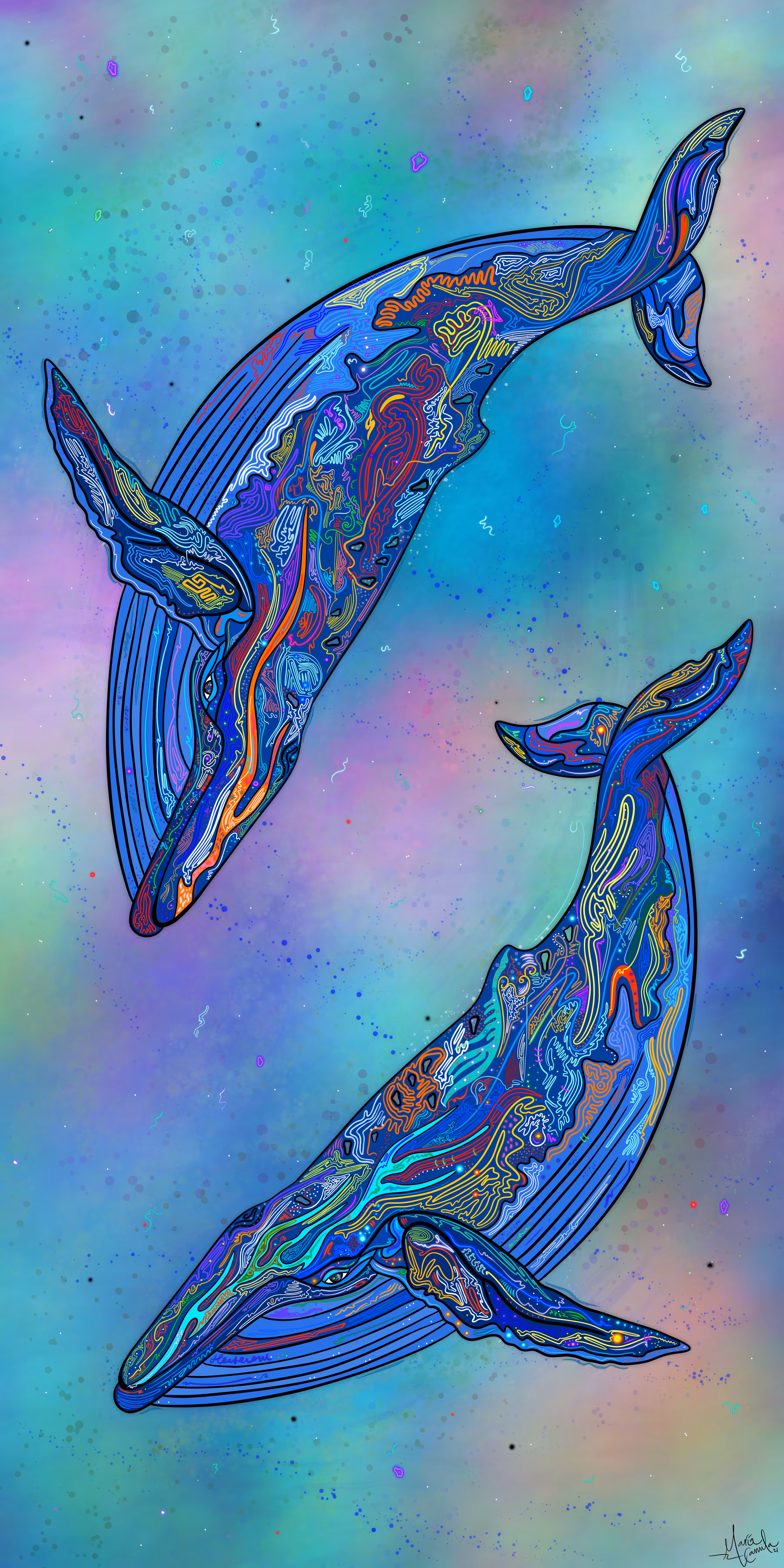 Whales & Tales