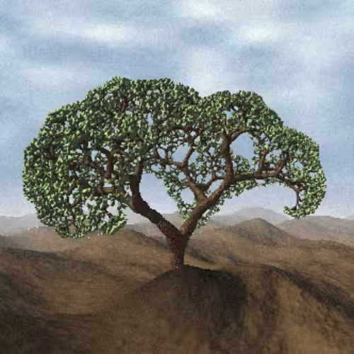 Lonely Tree #22