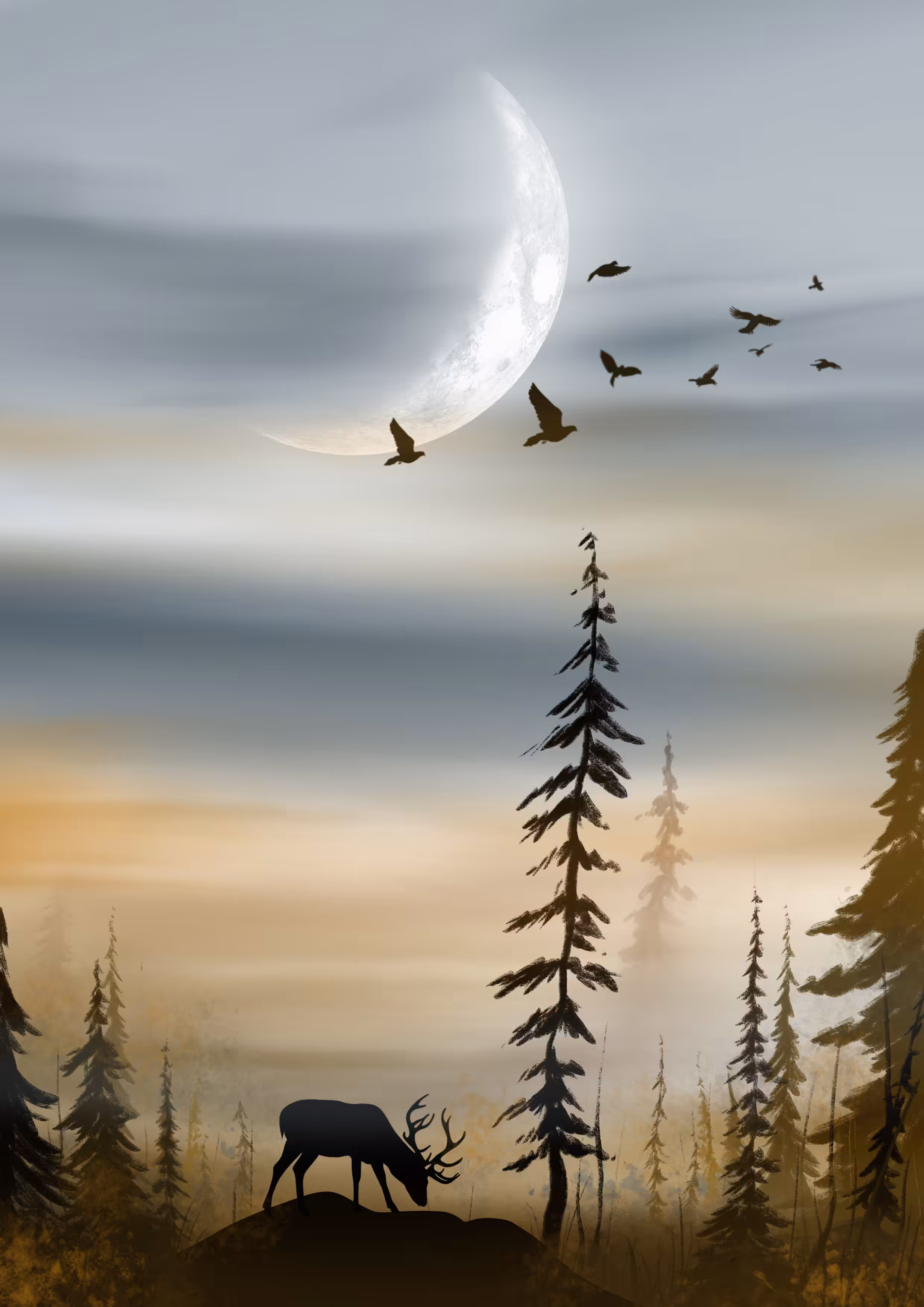 Mysterious forest 