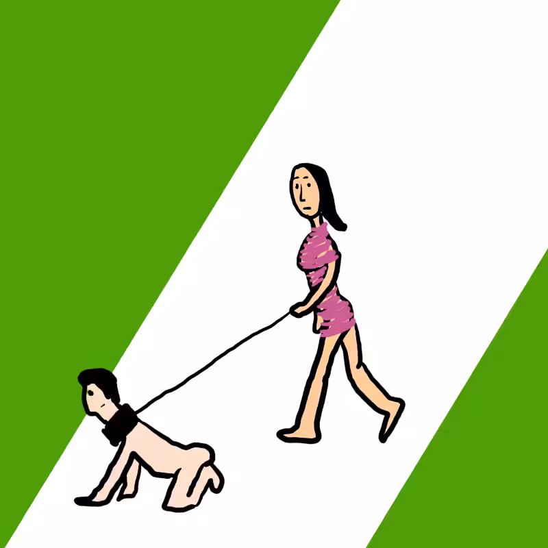 wALKING A DOG #31
