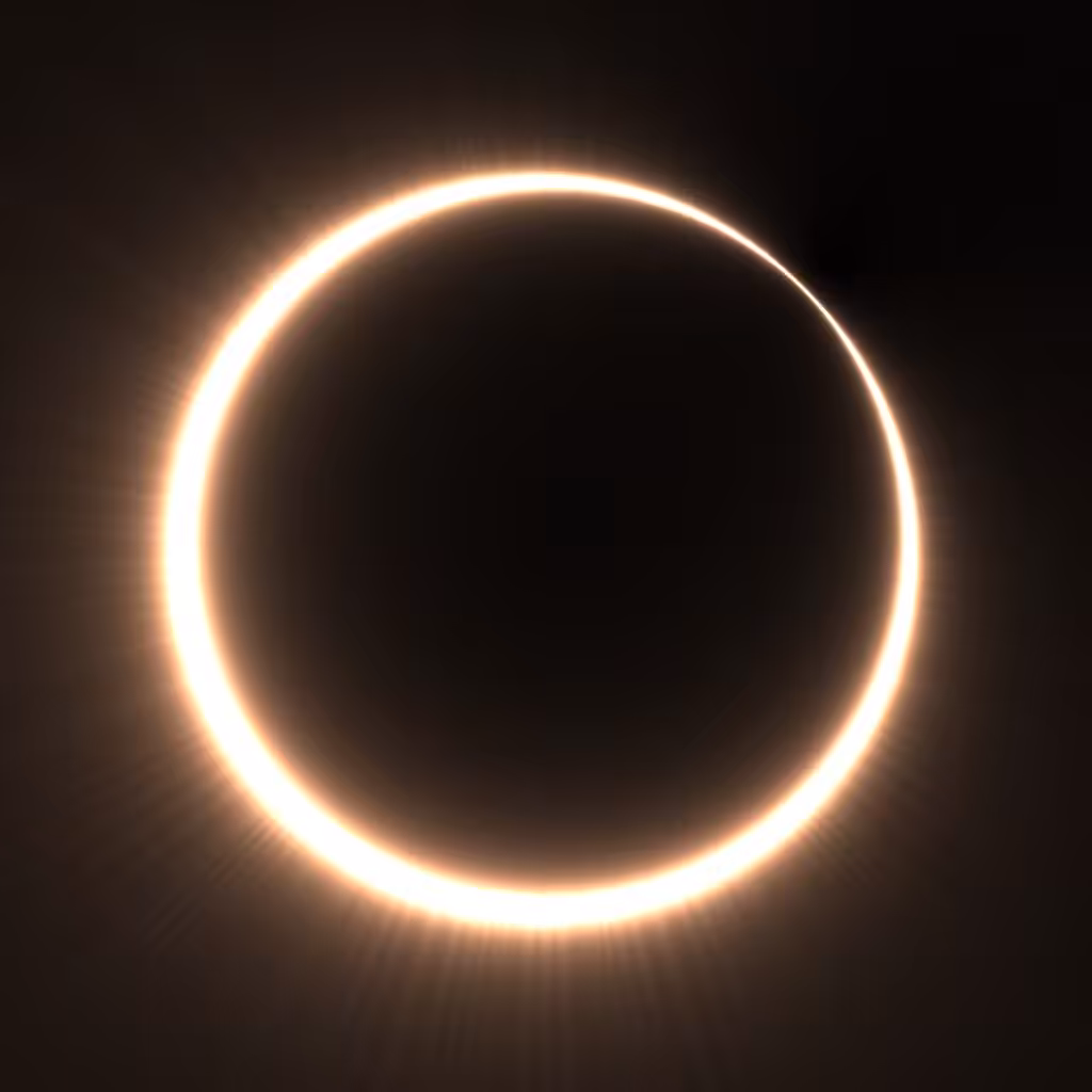 Totality #312