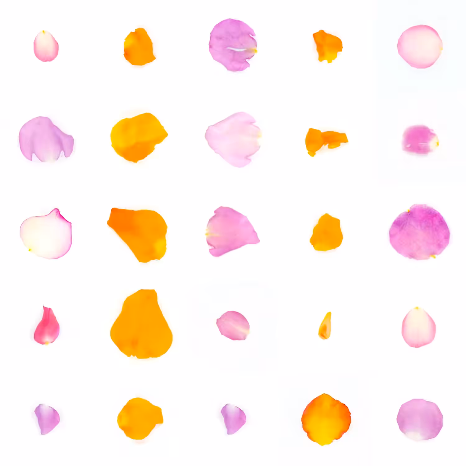 Infinite Petals 5x5#21028