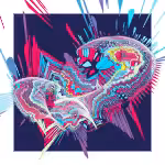 XPLSN 06