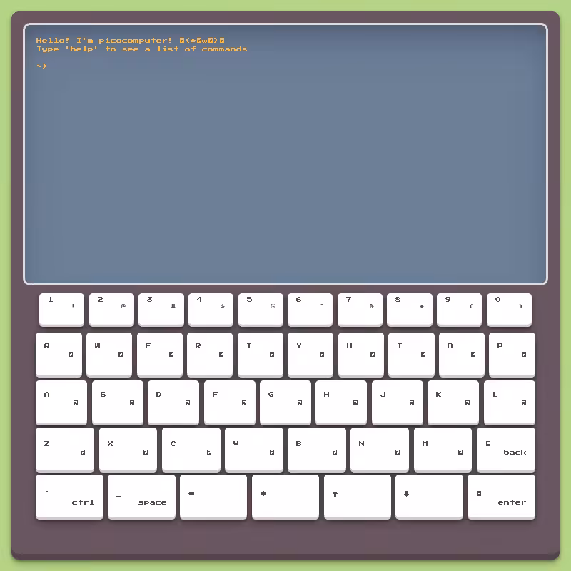 picocomputer #8