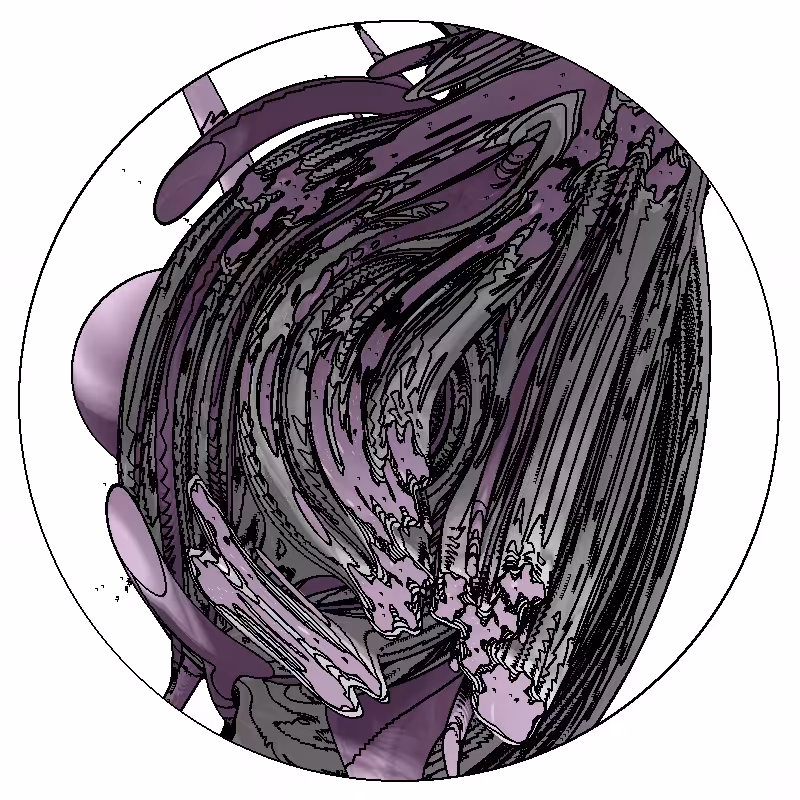 LL21 Anatomy #56