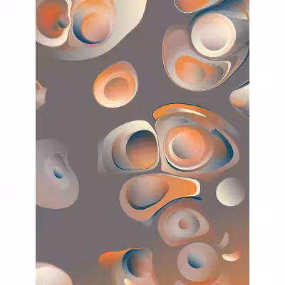 WarpField #115