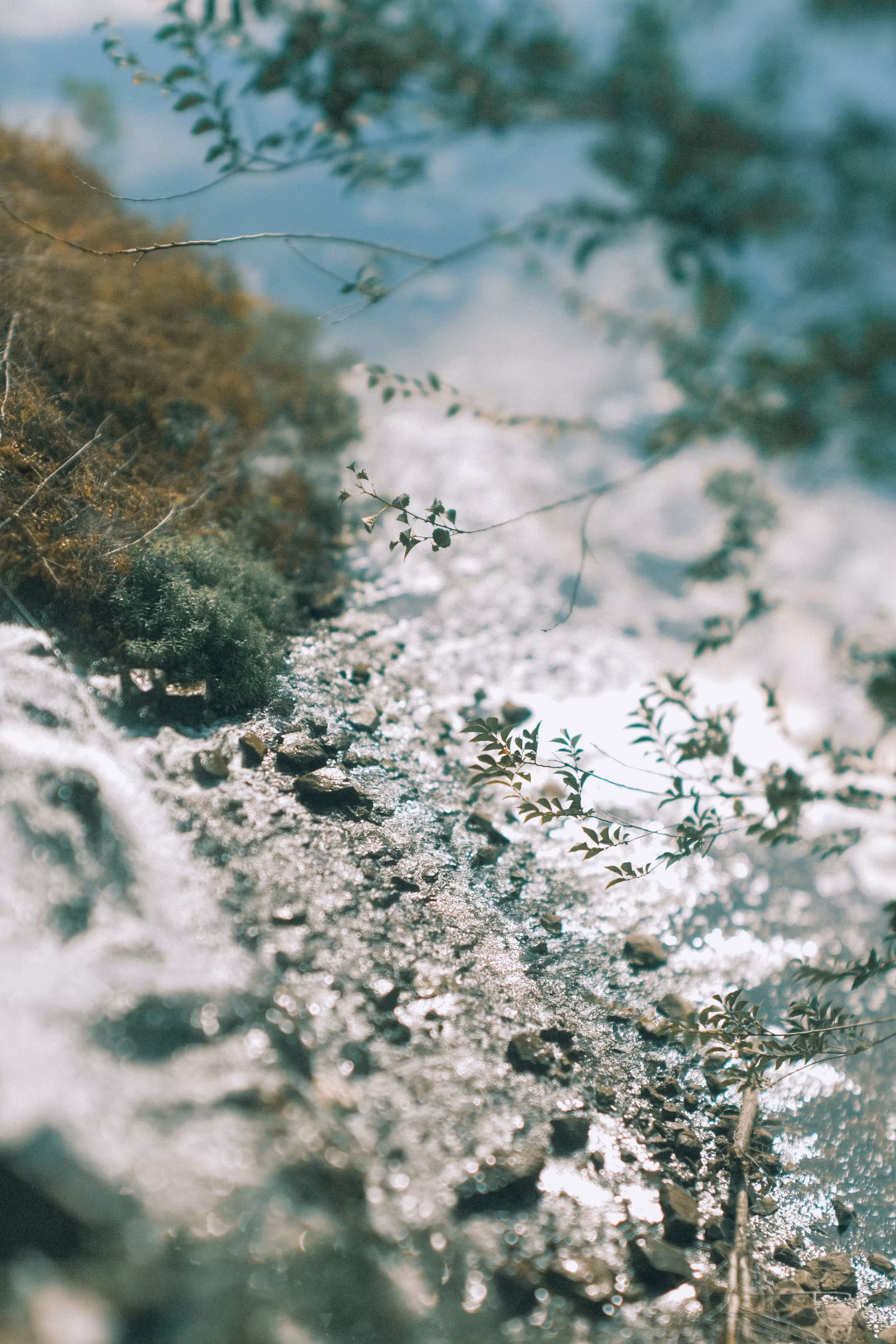 Late Summer