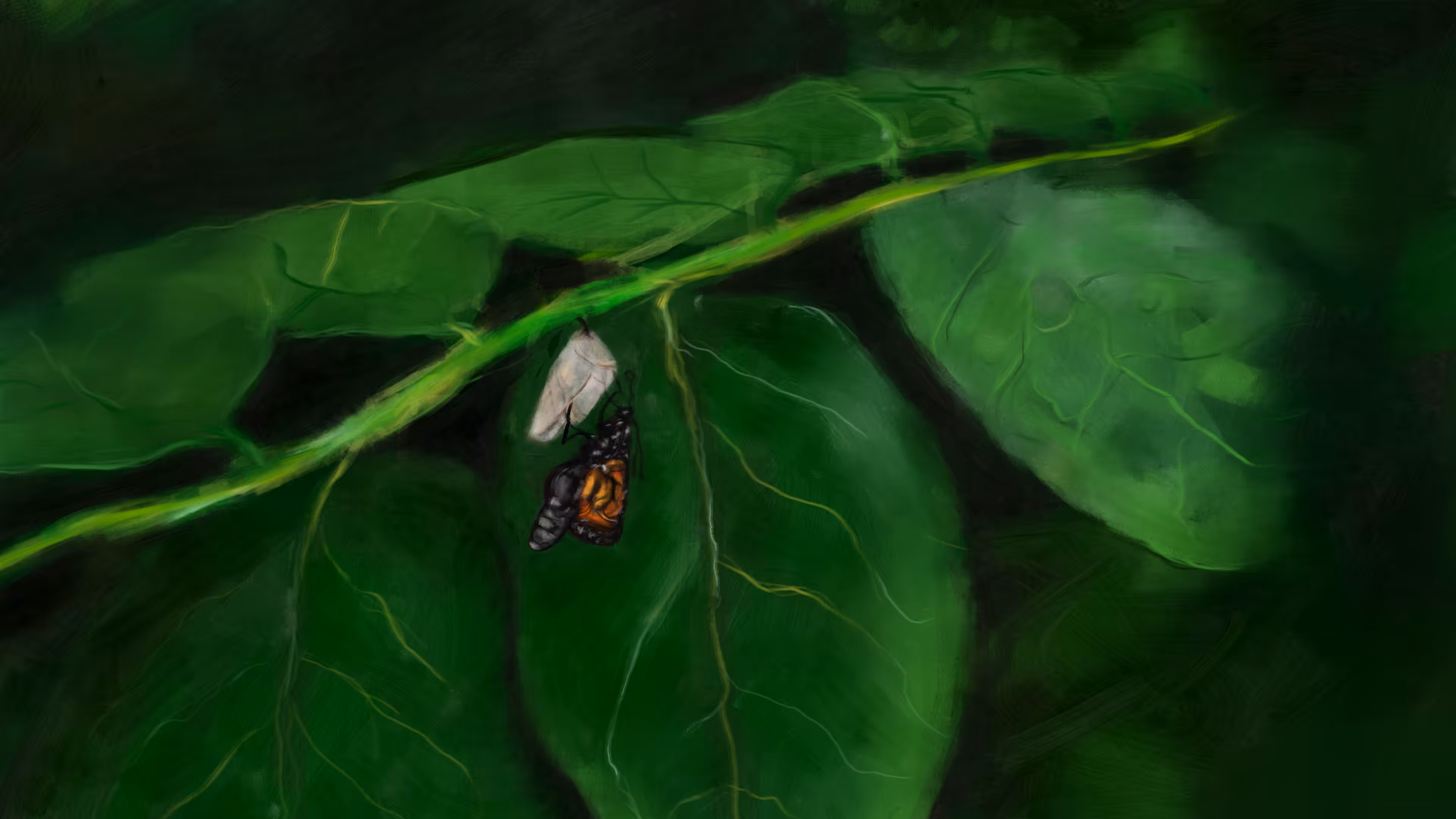 The Butterfly