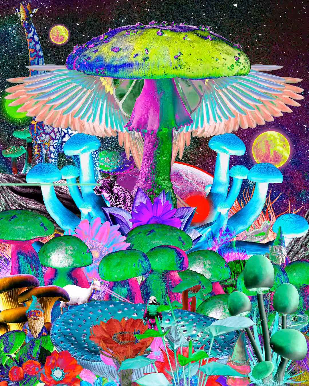 DIVINE SHROOMS