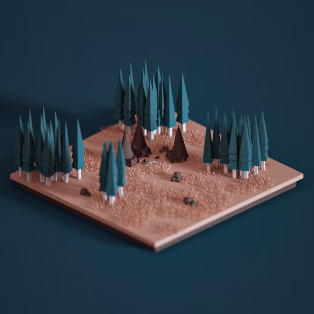 Camping