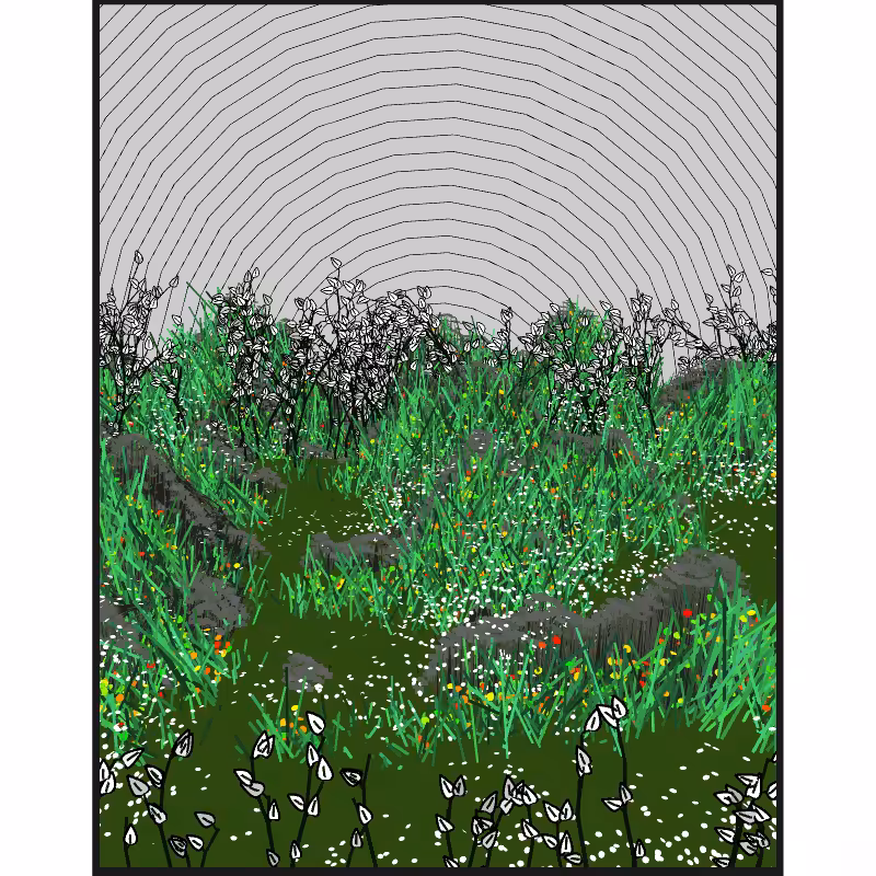 Contours #87