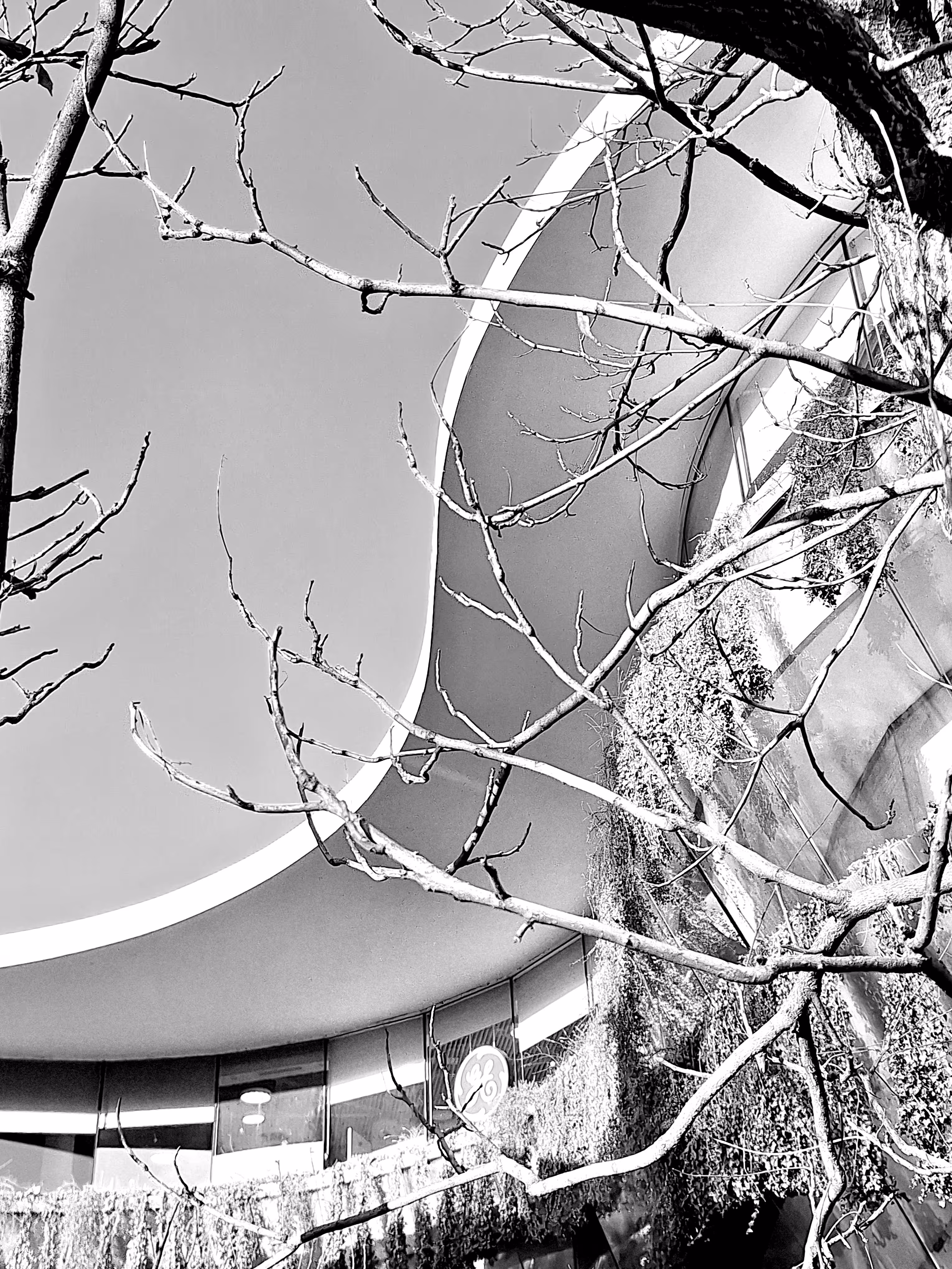 Architectural spline
