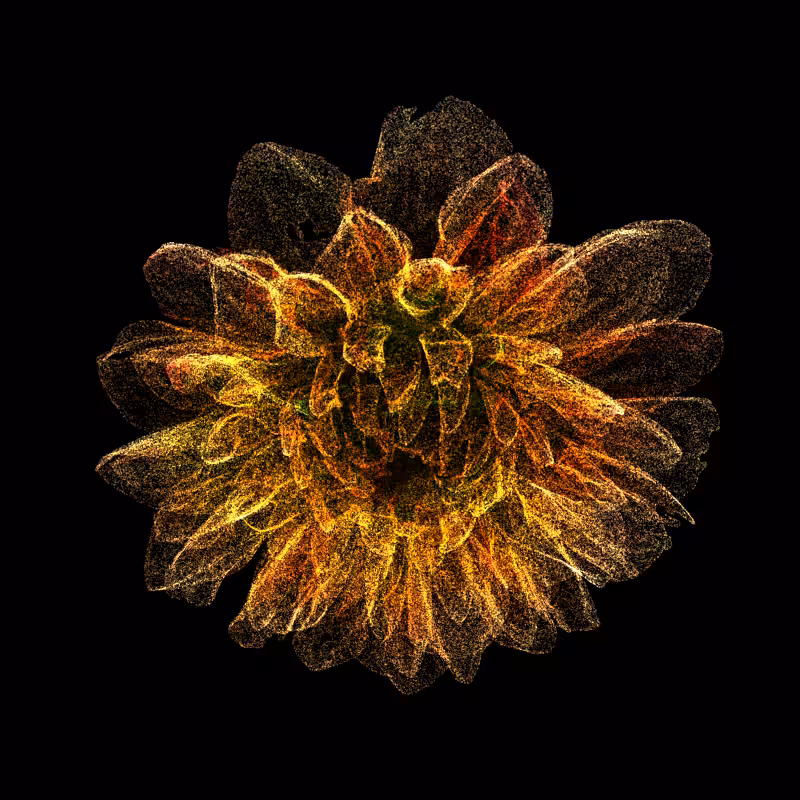 Dahlia Pinnata 30 #273