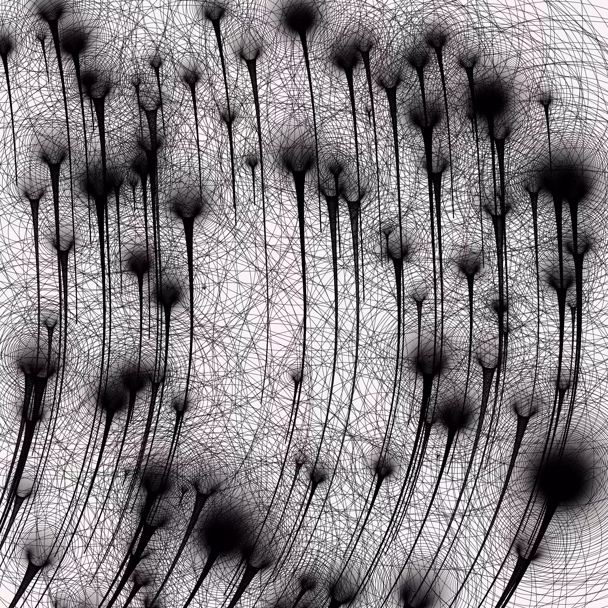 Connected multiverse