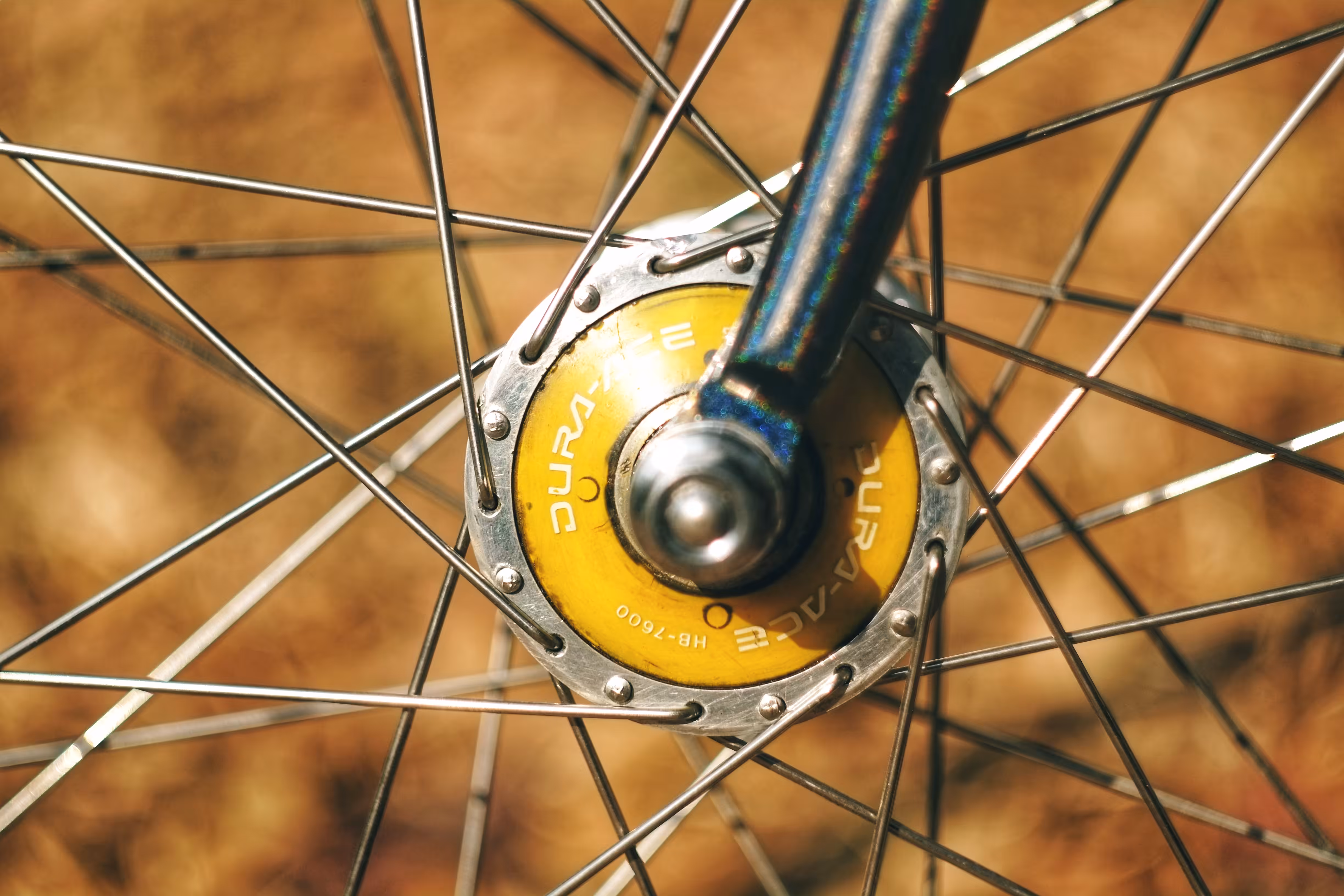 Wheel of Fortune