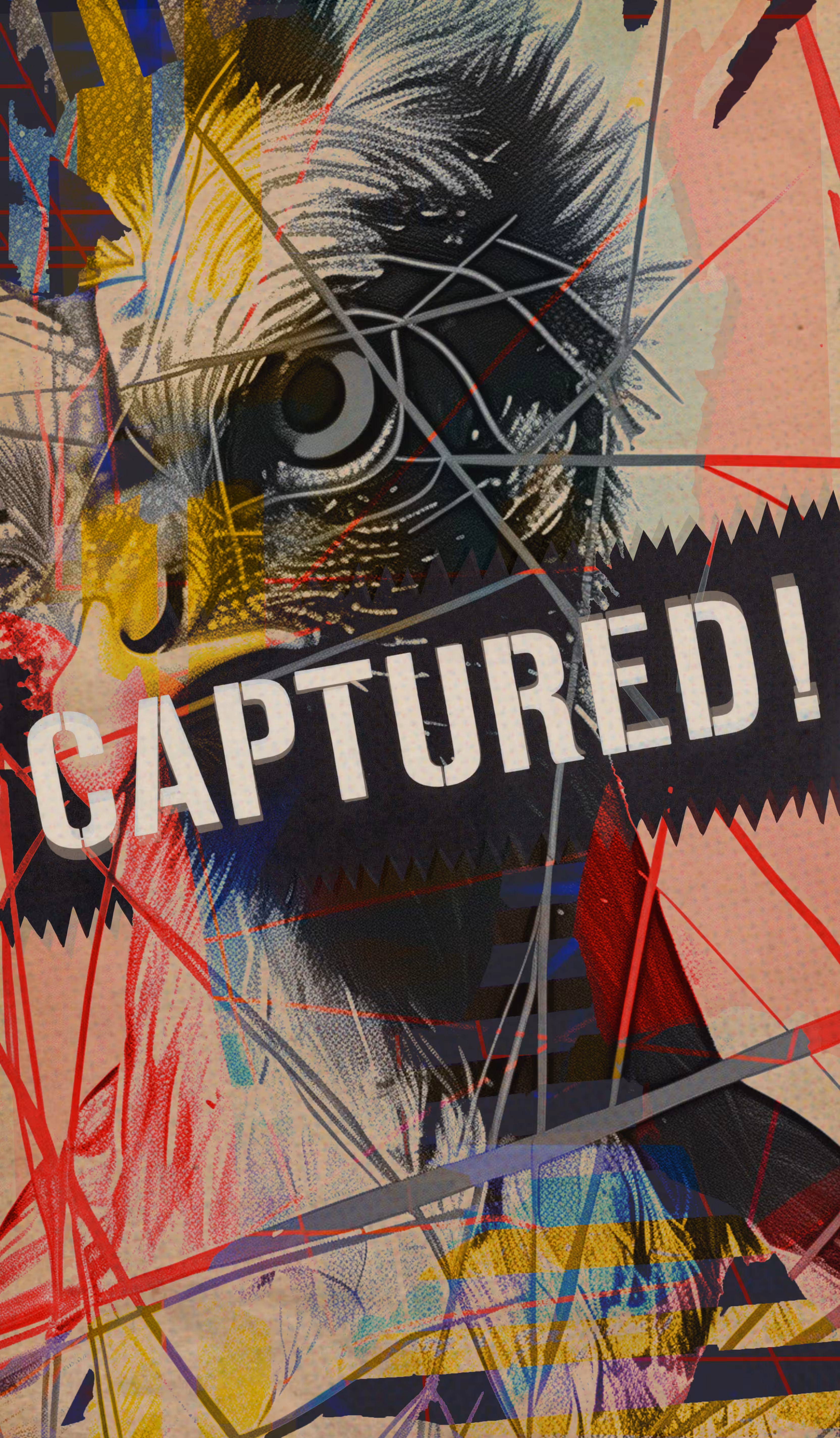 The Spirit Of Hen: Captured!