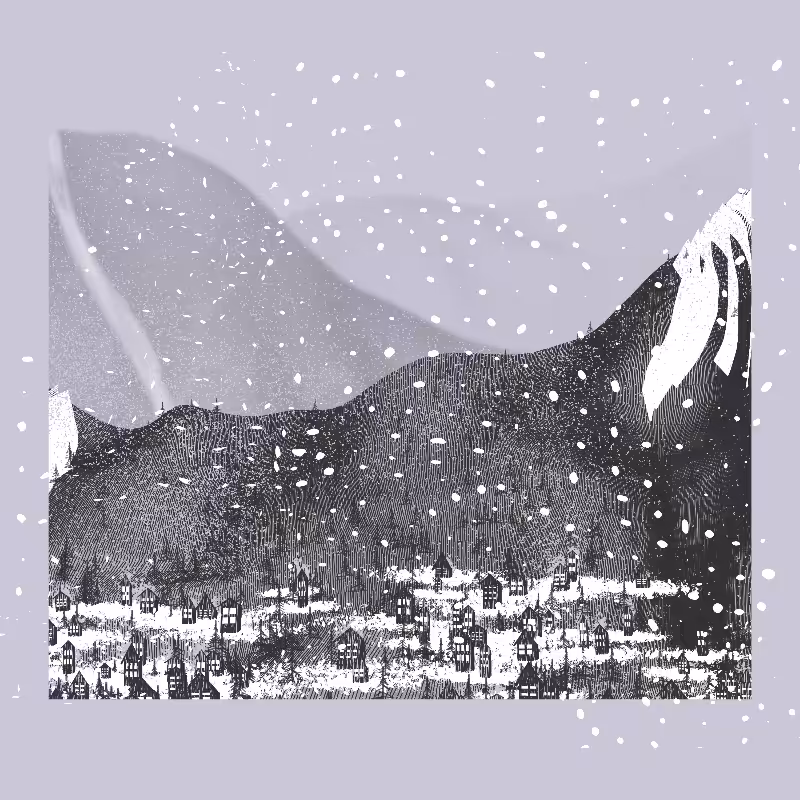 White Mountain Winter #30