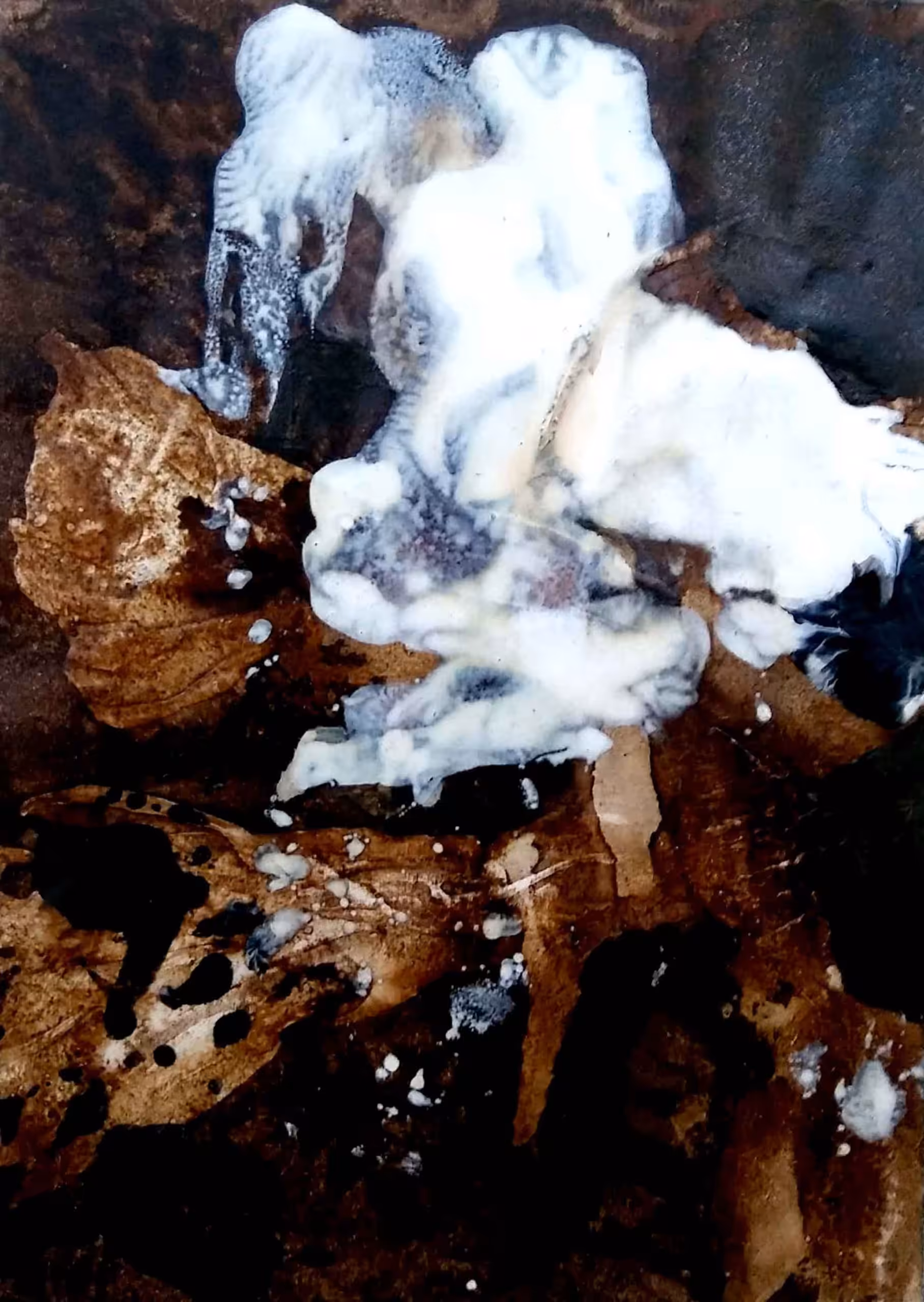 Nature2