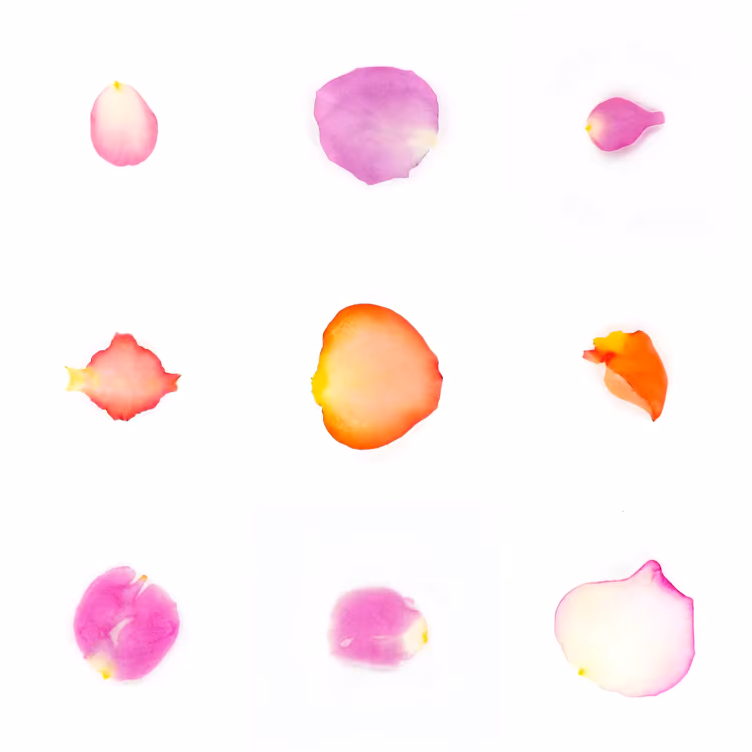 Infinite Petals 3x3#20790