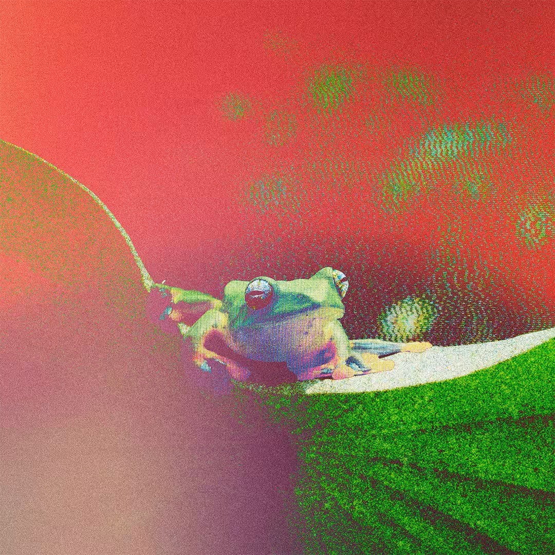 fr0̷g_006