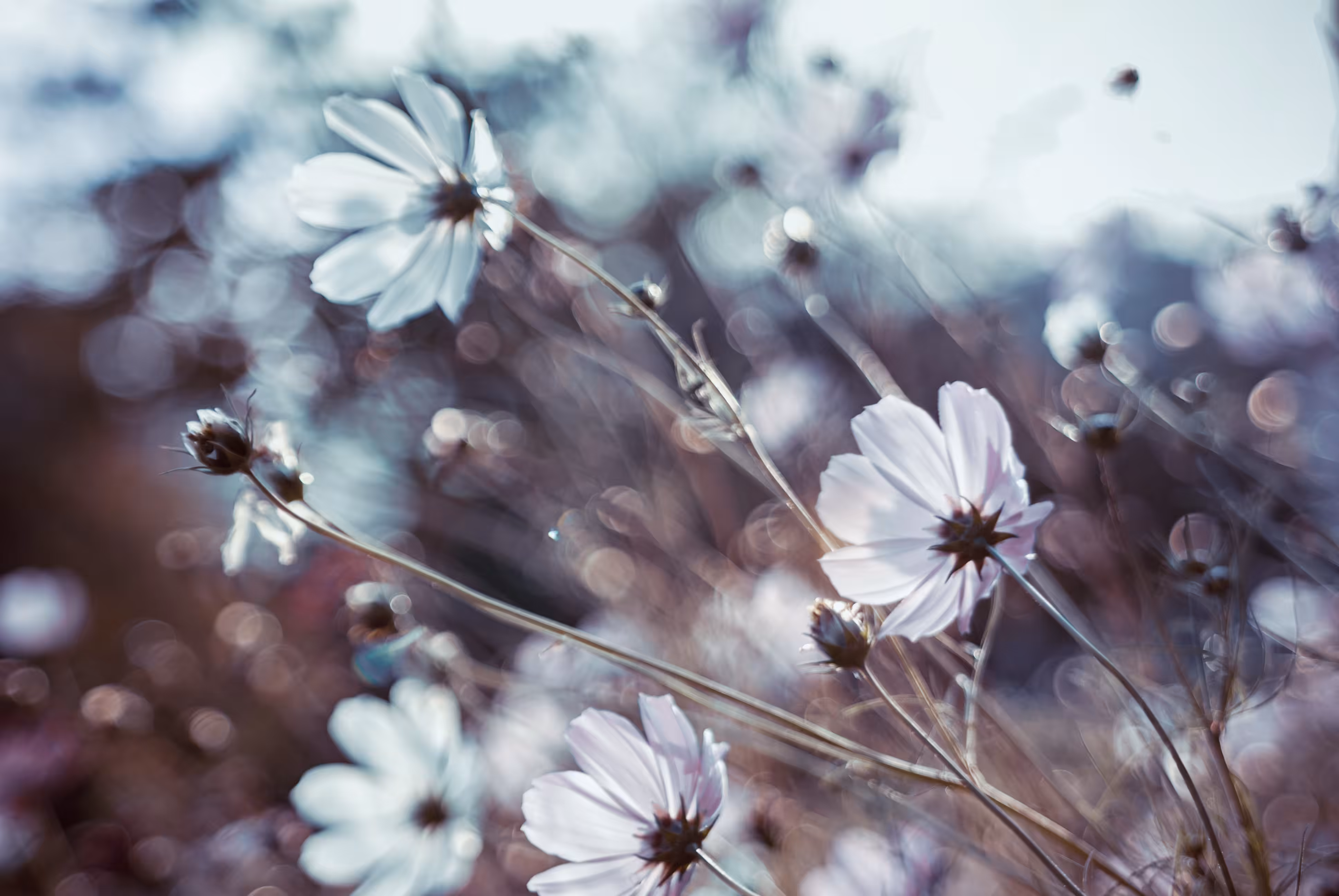 Fragality