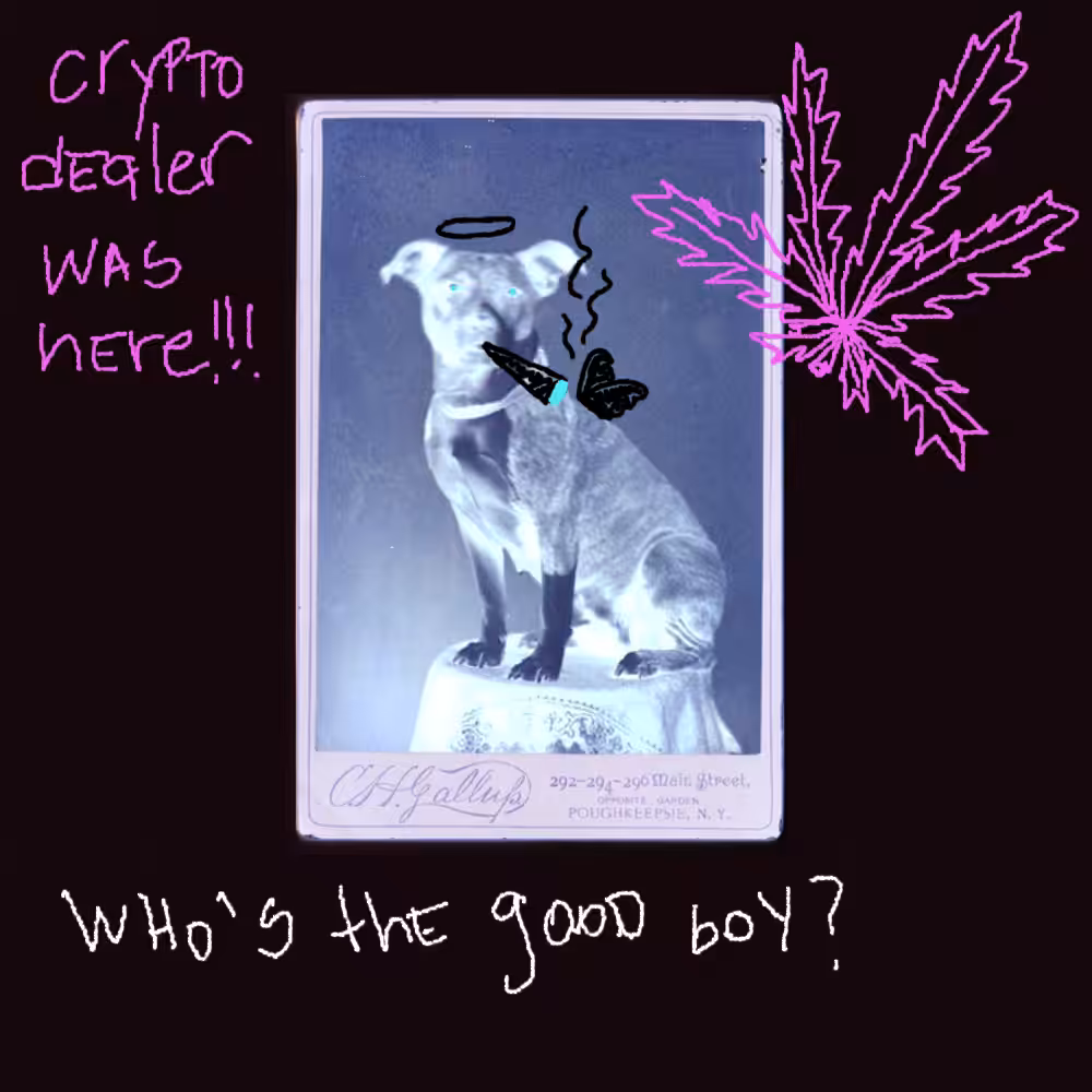 Crypto Dealer's Story II - Negative 5 - The Dog