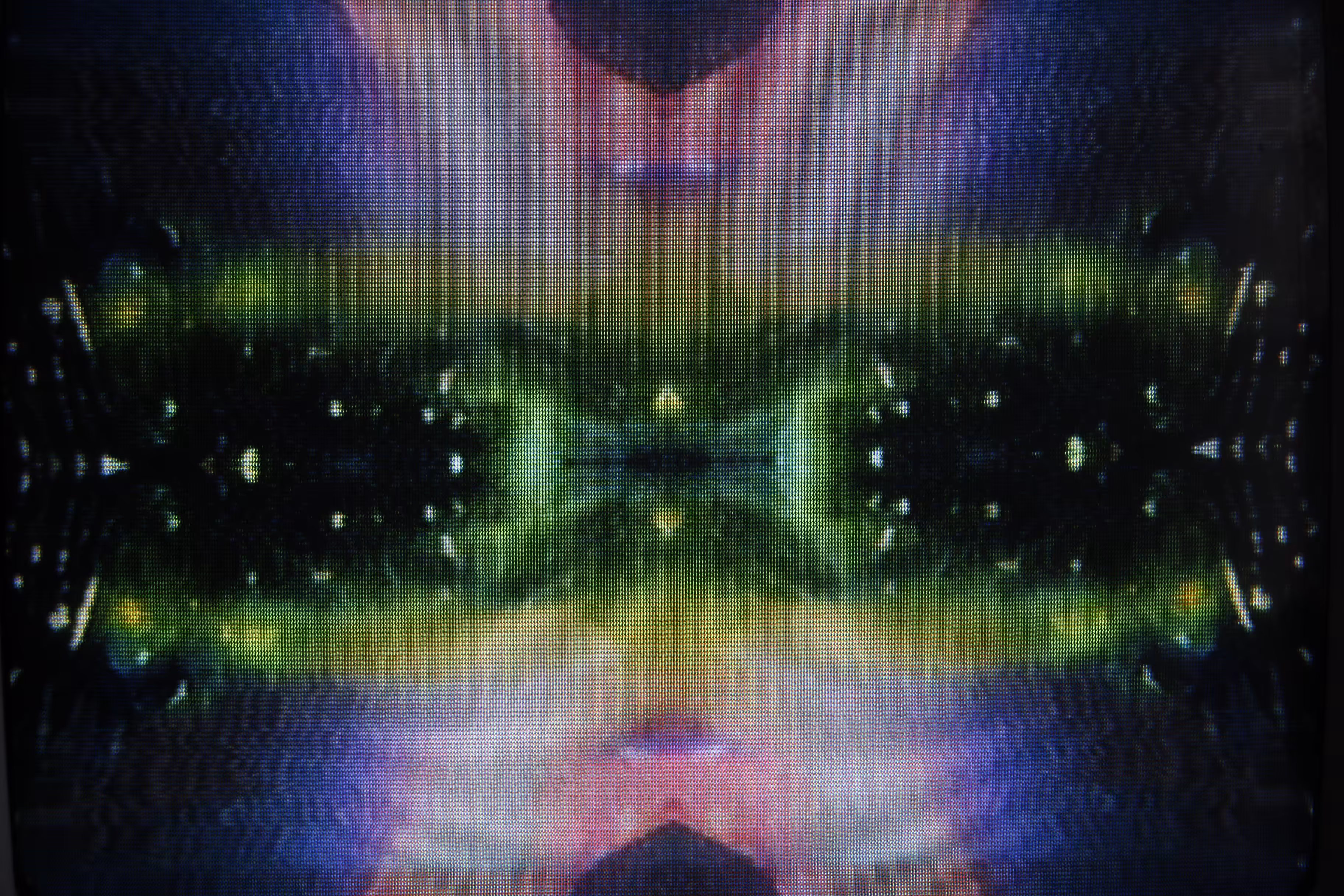 The Cosmos was in Your Iris 