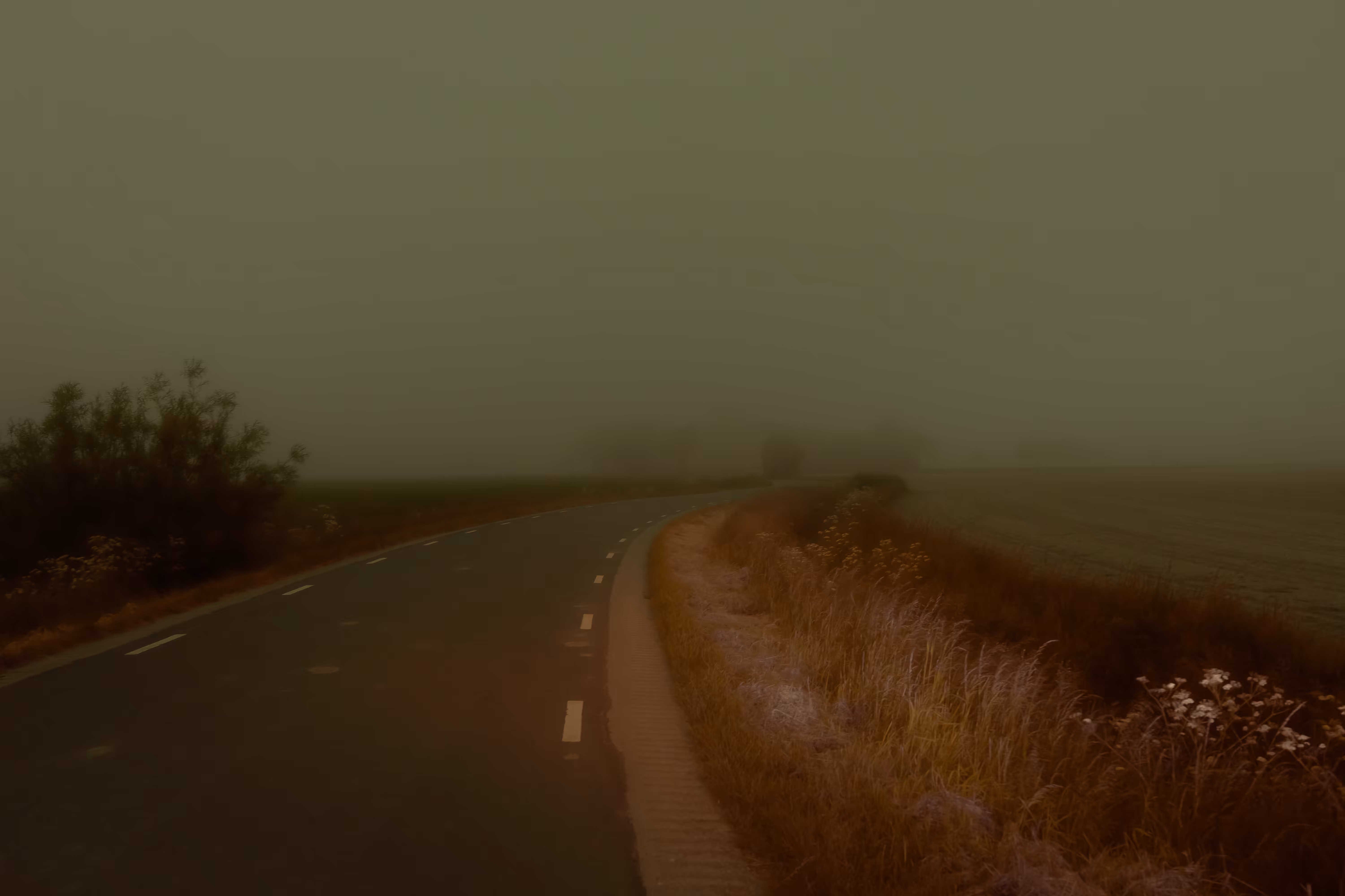 Foggy Memories 03